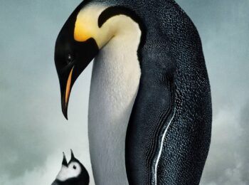 رژه پنگوئن‌ها