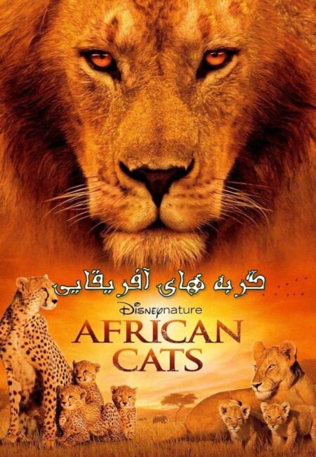 گربه های آفریقایی