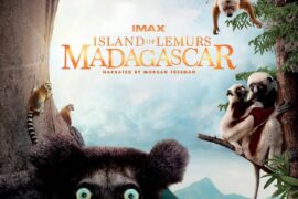 جزیرهٔ لمورها: ماداگاسکار